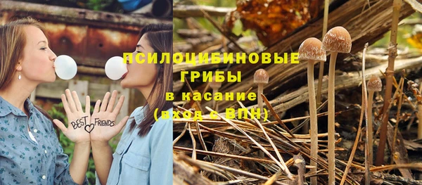хмурый Алагир