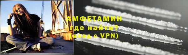 прущие грибы Надым