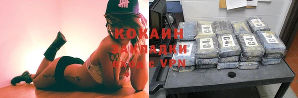 прущие грибы Надым