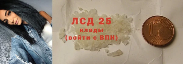 прущие грибы Надым