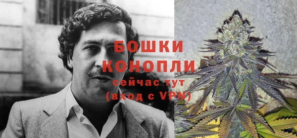 индика Наволоки