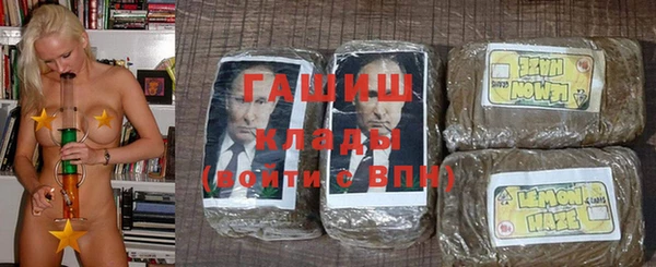 прущие грибы Михайлов