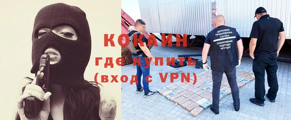 прущие грибы Михайлов