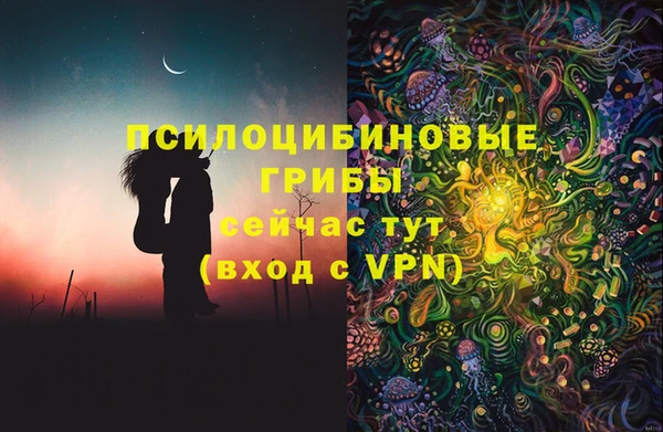 прущие грибы Михайлов
