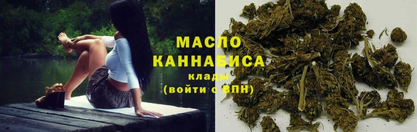 прущие грибы Михайлов
