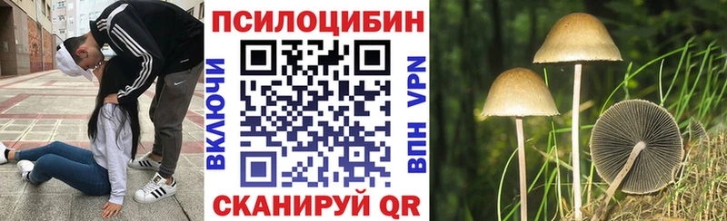 Псилоцибиновые грибы GOLDEN TEACHER  Тобольск 
